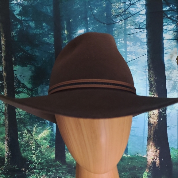 Original Stetson - The Rawlins Cowboy Hat - Picture 3 of 6